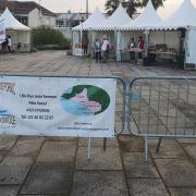 Img 20240407 081257